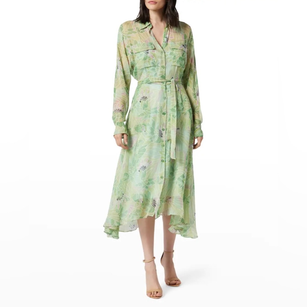 Haelee Sheer Printed Silk Shirtdress